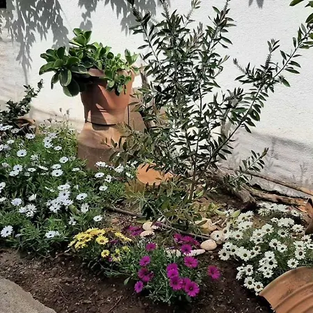 Garden's 2 * Leonídion