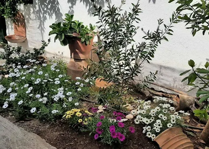 Garden's 2 * 利昂尼迪翁